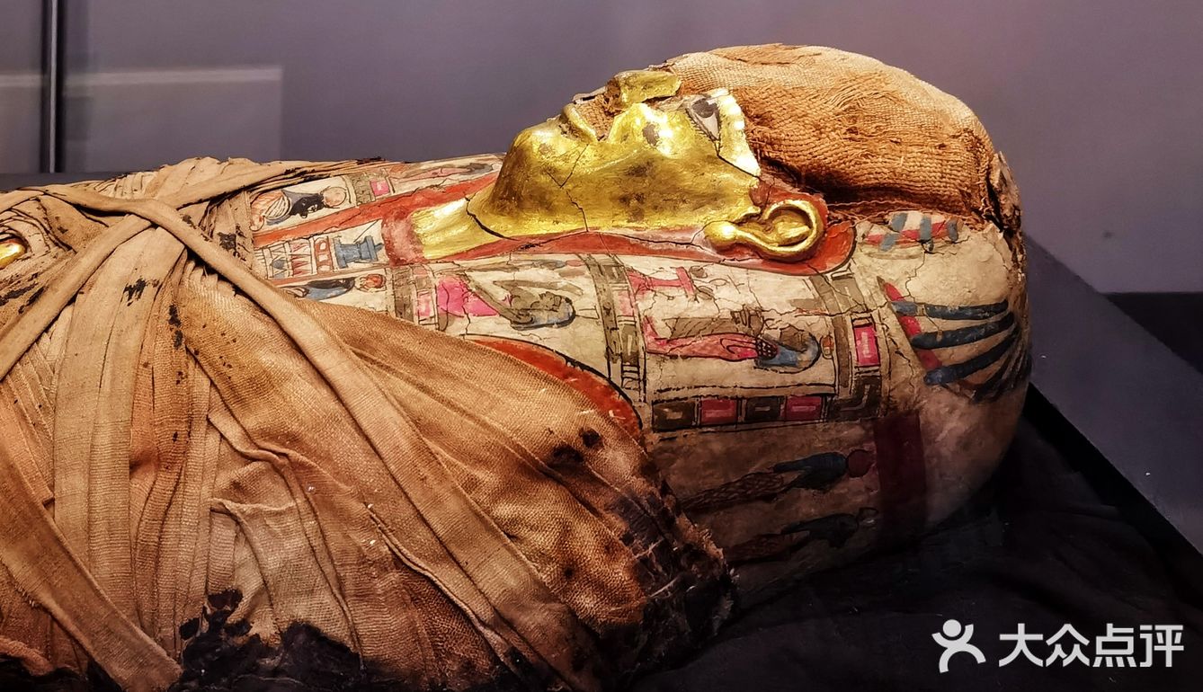 黄金木乃伊,带你揭开古埃及的神秘面纱!