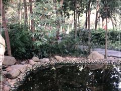 -成都市活水公园