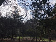 -上海佘山国家森林公园天马山园