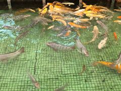 -金河半岛园林酒家(金融城店)