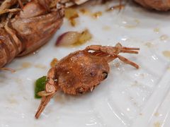 -鸿达渔港