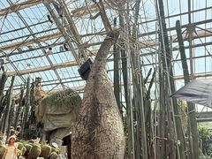 -南山植物园