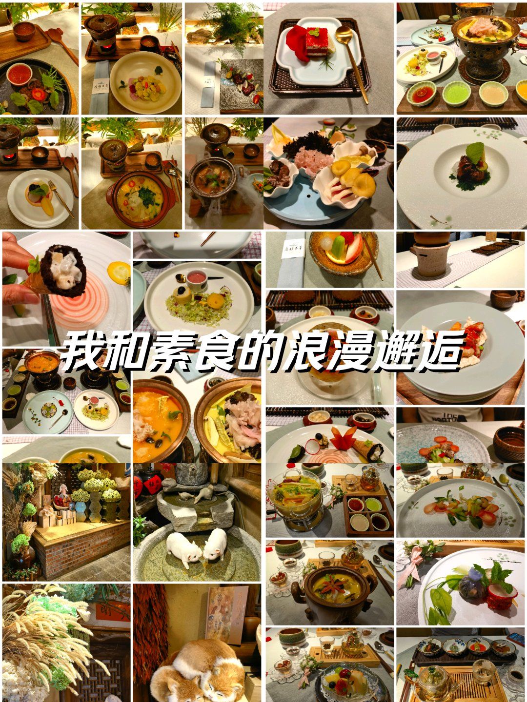 北京素餐厅叶叶菩提&草木禅房
