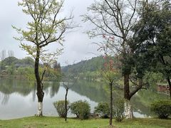 -常德桃花源景区