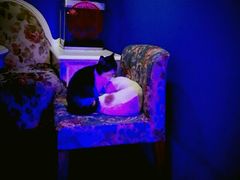 -星宿秘码(鼓浪屿老店)