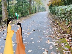 -四明山国家森林公园