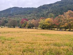 -塔川景区