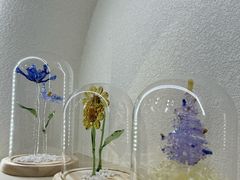 -石家庄万象城
