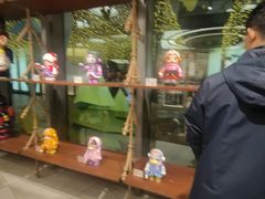-泡泡玛特POPMART(天环购物中心店)