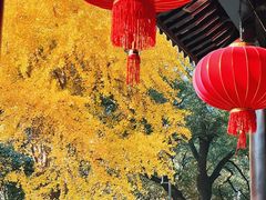 -常熟方塔园