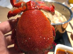 -星伦多 自助料理(圆融店)