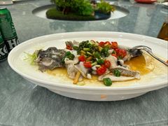 -顺德渔村(南山店)