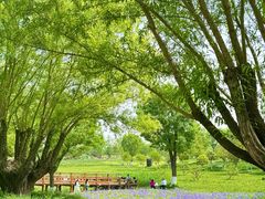 -汉长安城未央宫国家考古遗址公园