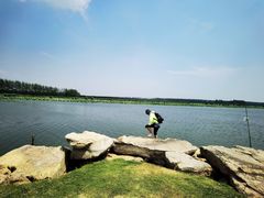 -滕州微山湖红荷湿地景区
