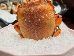 -阳光岛·海鲜盛宴(银泰中心in99店)