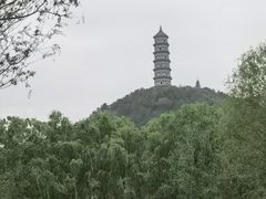-北坞公园