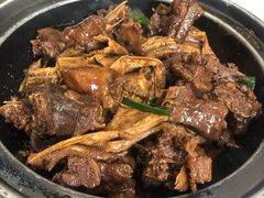 马冈狗仔鹅-鹅城