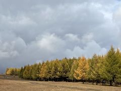 -塞罕坝国家级自然保护区