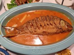 -阿五黄河大鲤鱼(海尚店)