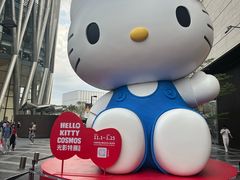 -深圳湾万象城(南山店)