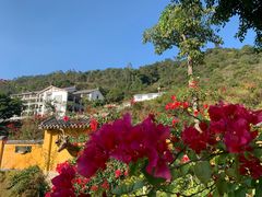 -广东天露山旅游度假区