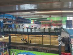 -四维羽毛球馆(北二中路店)