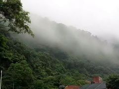 -太鲁阁公园