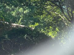 -七彩云南古滇温泉山庄