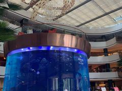 -OPEN開全日自助餐厅·牛肉火锅·海鲜(佛山希尔顿酒店)