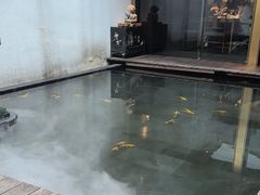 -觀芷隐轩