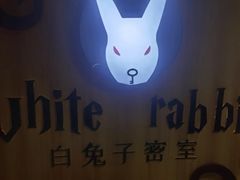 -白兔子密室(长寿路店)