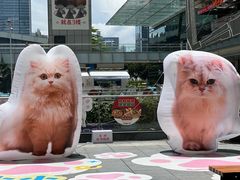 -福田卓悦INTOWN购物中心