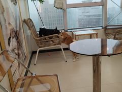 -共舞时光猫咖·狗咖(新街口店)