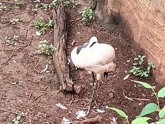 -昆明动物园