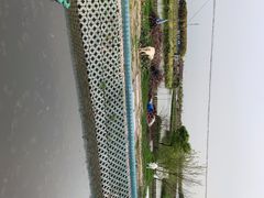 -美家乐农庄·露营·团建(大治路店)