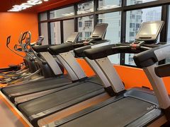 -健身专家Wellness Experts