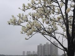 -品鲜村农家菜·阳澄湖大闸蟹(总店)