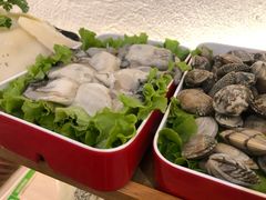 海蛎子-梧桐院鲜羊铜锅涮肉(西虹市大院店)