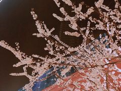 6⃣️楼天空之城-青岛万象城