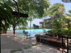 -卷心菜和避孕套餐厅(Pattaya)
