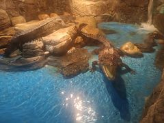 -多彩贵州城极地海洋世界