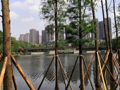 -重庆彩云湖湿地公园