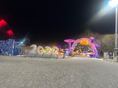 -沈阳奥体冰雪嘉年华