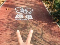 -紫金山山顶公园