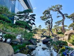 -罗红摄影艺术馆