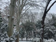 -河南省黄河迎宾馆