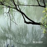 雨前再拍一次樱花｜葵巷