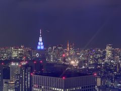 -东京都厅舍