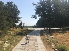 -北京麋鹿生态实验中心