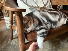 -咖法森林·咖啡  酒吧(天河店)